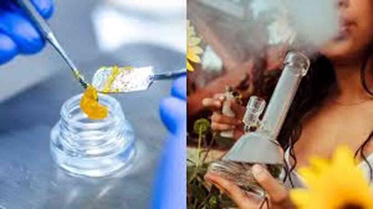 Pochampally: Hash Oil Worth Rs. 1.52 Cr. seized by police