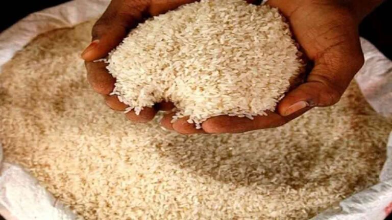 22 Tonnes Of PDS Rice Seized At Rajendra Nagar