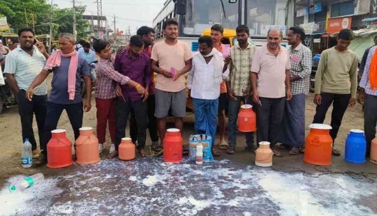 Farmers Dump Milk On Road In Protest Against Delay In Clearing  Bills
