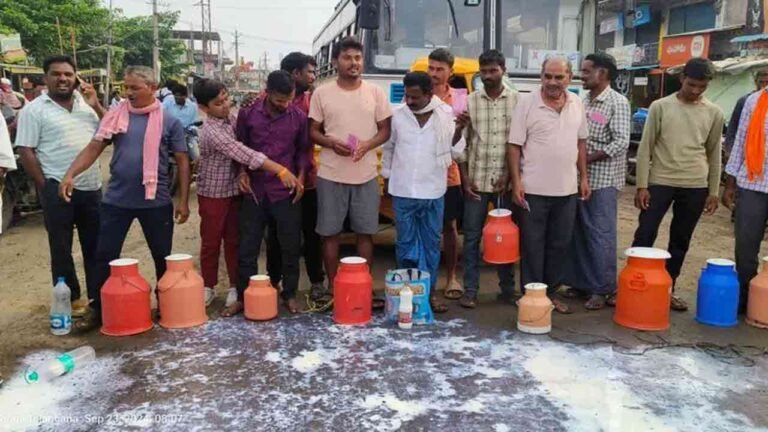 Farmers Dump Milk On Road In Protest Against Delay In Clearing  Bills