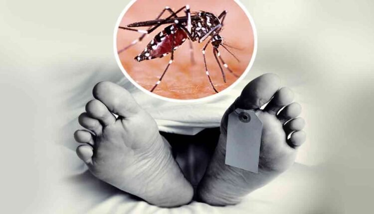 Tragedy In Karimnagar: 10-Year-Old Dies Of Dengue