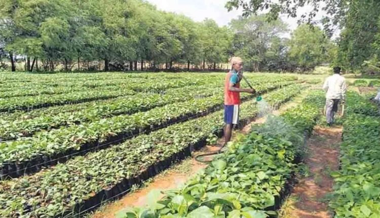 Village In Warangal Selected For Gram Swaraj Award 