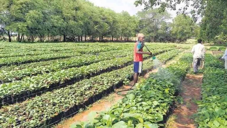 Village In Warangal Selected For Gram Swaraj Award 