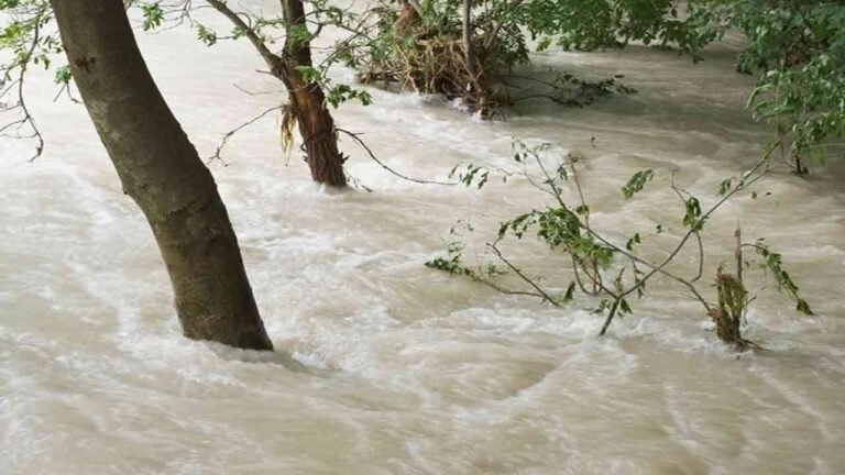 Heavy Rains And Flash Flood Alerts In The Telugu States