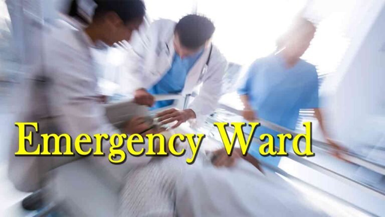 Set Up Emergency Ward For Poor People On Subsidised Rate By Sharada Hospital