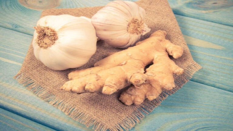 Adulterated Ginger Garlic Paste Seized In Hyderabad