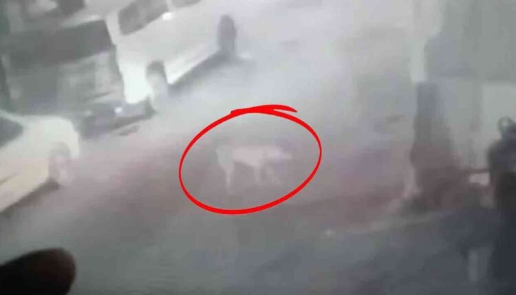 Pieces Of Meat Found On Temple Premises Near Masab Tank