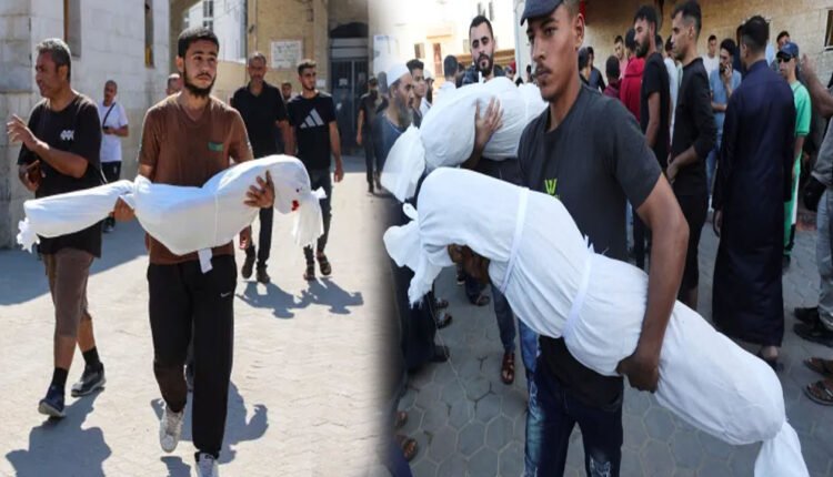 Israeli Strike On Northern Gaza: 73 People Killed