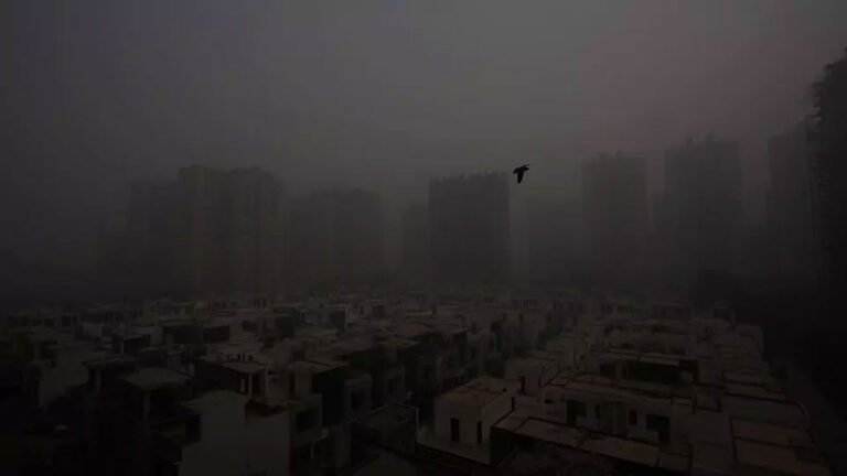 Delhi Air Pollution: Schools And Colleges Shut, Health Advisory Issued
