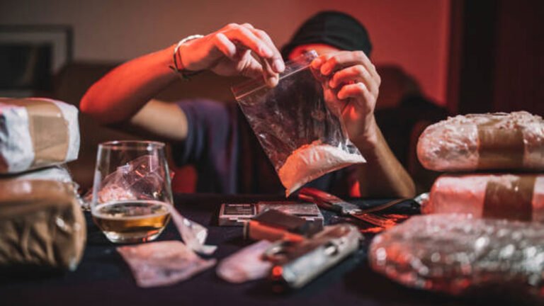 Govt Estimate Revenue From Liquor And Drugs Rs. 27 Thousand Crores In 2025-26