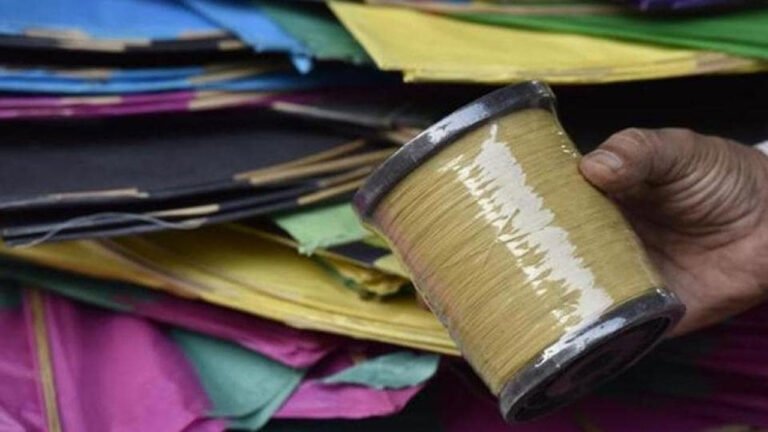 Karnataka Bans Metal, Glass-Coated Kite Manja