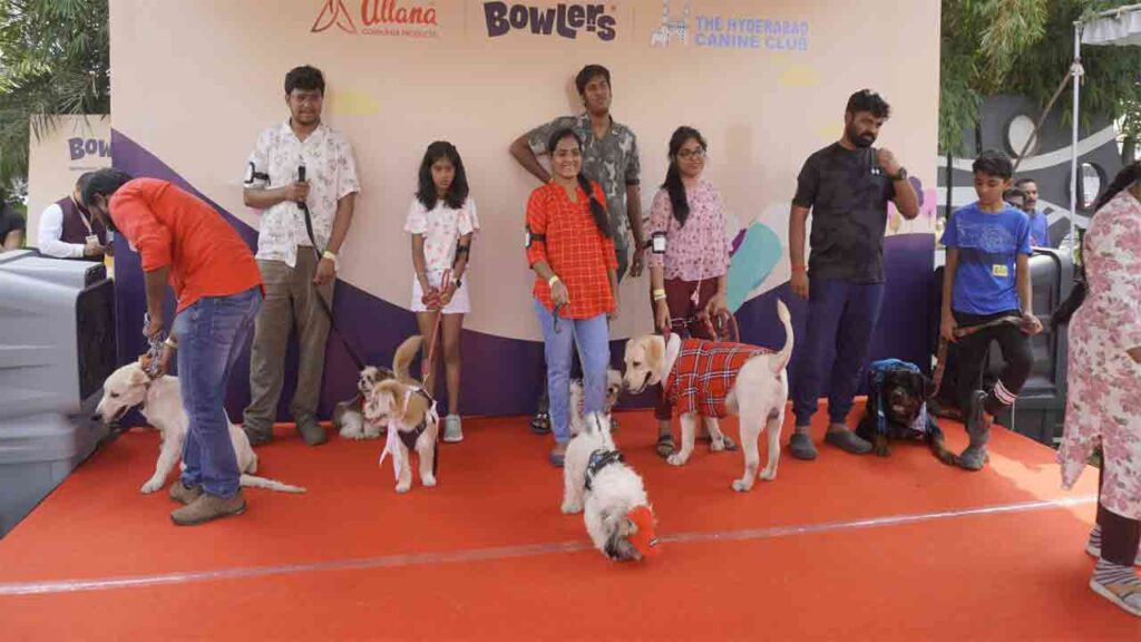 HyCan'24, a grand pet show of dogs and cats held