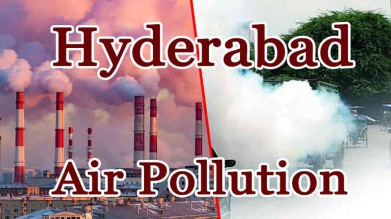 Environment Experts Root For Medicinal Plants To Fight Air Pollution In Hyderabad