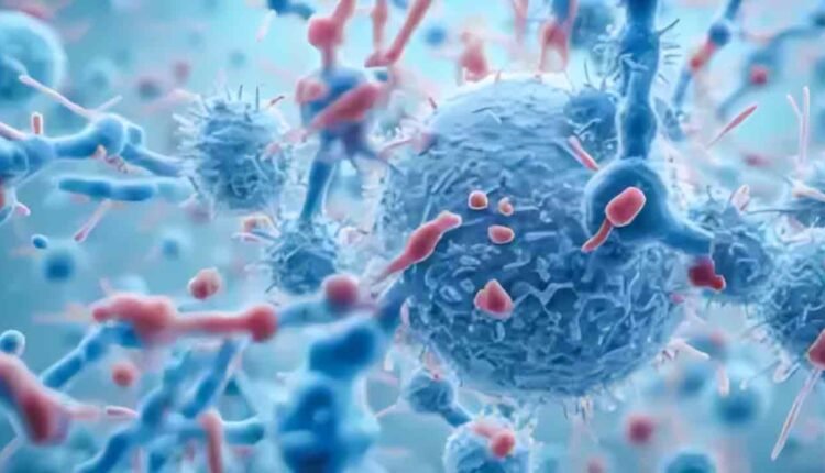 New Bat Coronavirus HKU5-CoV-2 Identified in China, Potential Human Transmission Risk