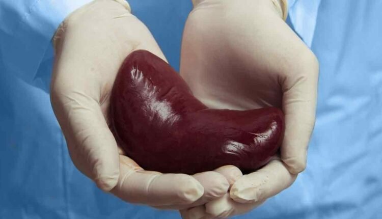 Illegal Kidney Transplant Expose Telangana's Regulatory Lapses