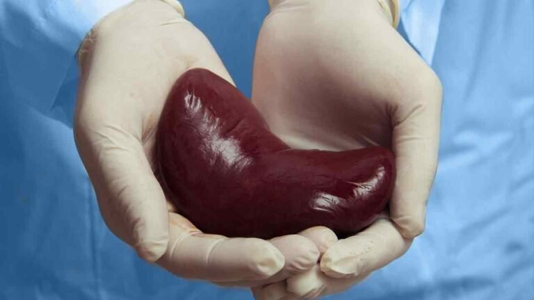 Illegal Kidney Transplant Expose Telangana's Regulatory Lapses