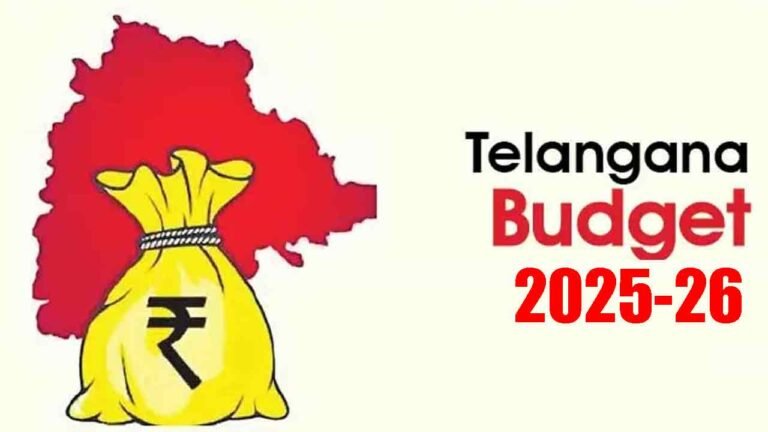 Huge Funds Allocated For Guarantee Schemes In The Budget