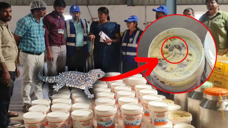 Lizard In The Milk: Hyderabad Shocking Violations Uncovered!!!