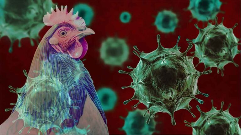 Birds Flu: Registration Of Poultry Farms Are Now Mandatory