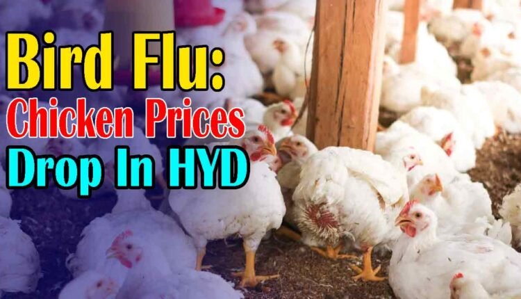 Bird Flu Outbreak in Hyderabad: Chicken Prices Drop to Rs. 150 Per Kg