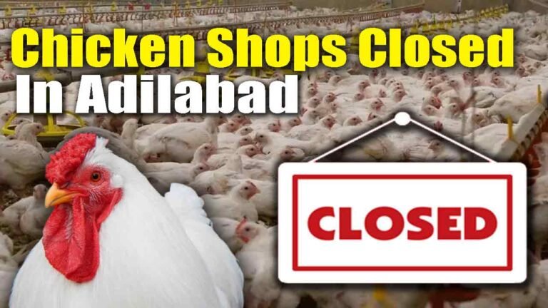 Chicken Lovers In Adilabad Shock As Traders Declared To Close Shops For A Week