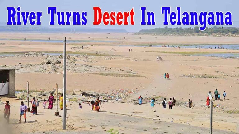 Godavari Becomes Desert Even Before Summer