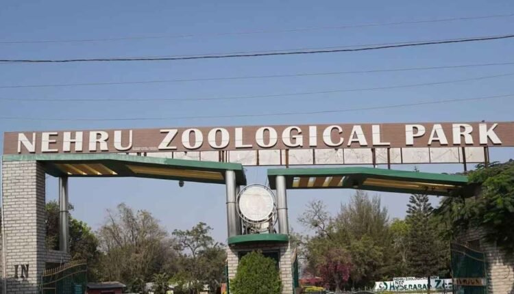 Visiting Hyderabad Zoo to Get Costlier from March 1 – Check New Prices