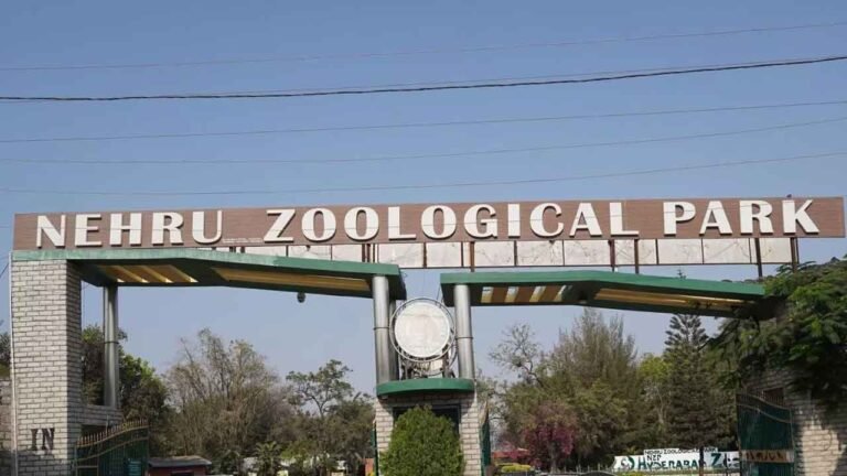 Visiting Hyderabad Zoo to Get Costlier from March 1 – Check New Prices