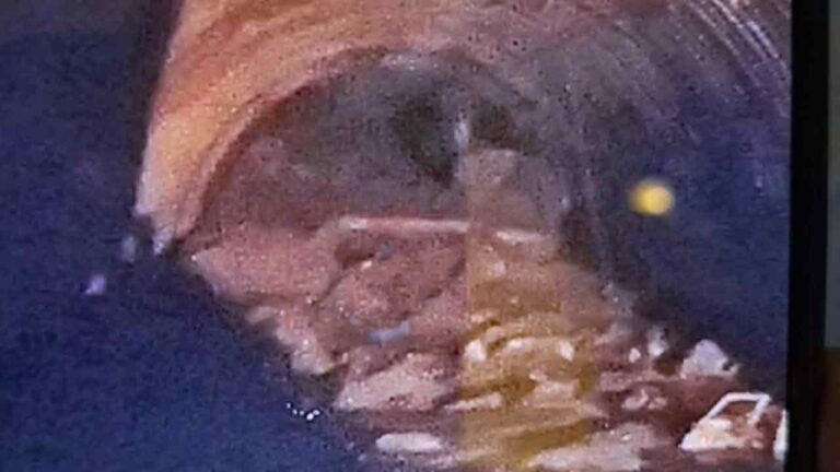 SLBC Tunnel Collapse: Debris Removal And TBM Machine Cutting Underway 