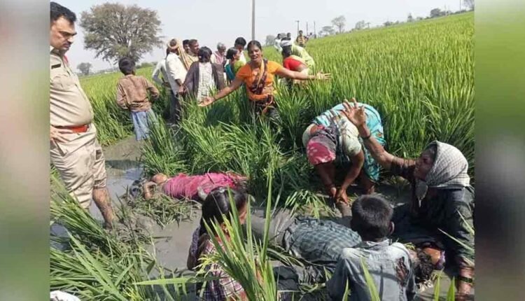 Wild Boar Hunters Electrocuted In Nizamabad