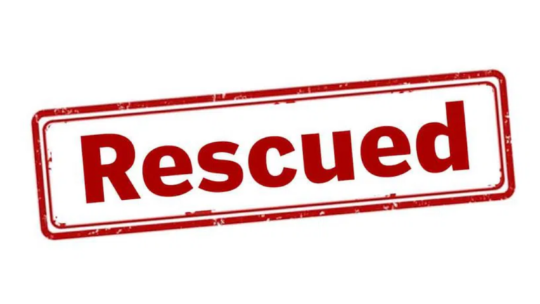 Police Rescue Drivers Trapped In Cabin Of Truck In Mancherial