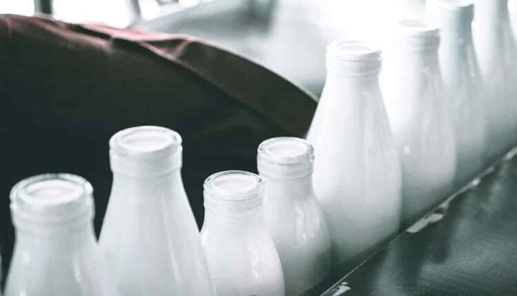 Hyderabad Fake Dairy Alert! Authorities Crack Down on Risky Milk Substitutes This Festive Season