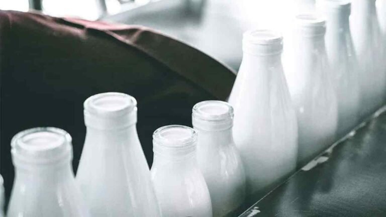Hyderabad Fake Dairy Alert! Authorities Crack Down on Risky Milk Substitutes This Festive Season