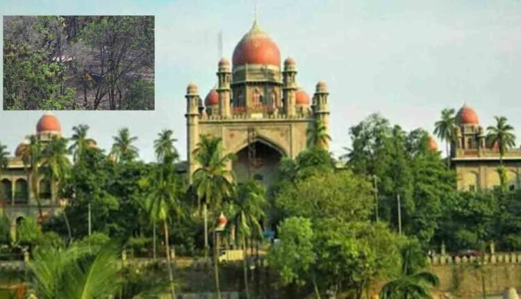 Stop Work On Gachibowli Lands Until Tomorrow: High Court