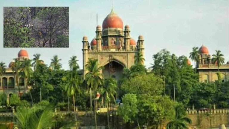 Stop Work On Gachibowli Lands Until Tomorrow: High Court