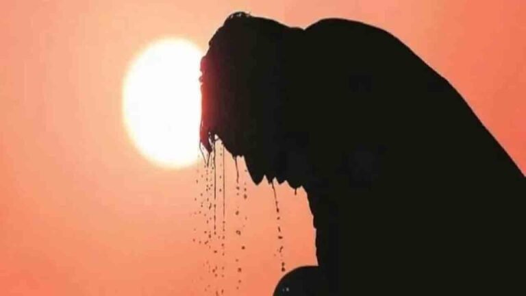 Telangana Govt Increased Ex-Gratia Amount For Sunstroke Deaths To Rs. 4 Lakhs