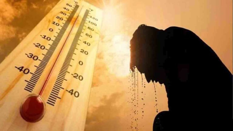 Auto Rickshaw Driver Died Due To Sunstroke In Vemulawada