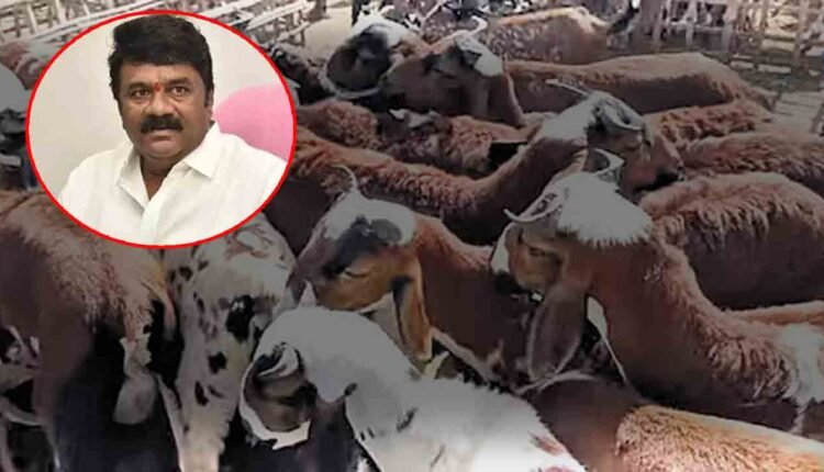 Sheep Distribution Scam: Big Shock To Talasani: Broker Moinuddin Arrested