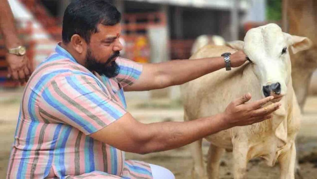 Raja Singh Praises Revanth Reddy, Calls Him a 'True CM for Cow Protection'