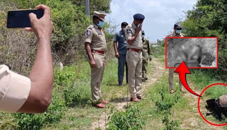 Woman’s Body Found Stuffed In Suitcase In Hyderabad