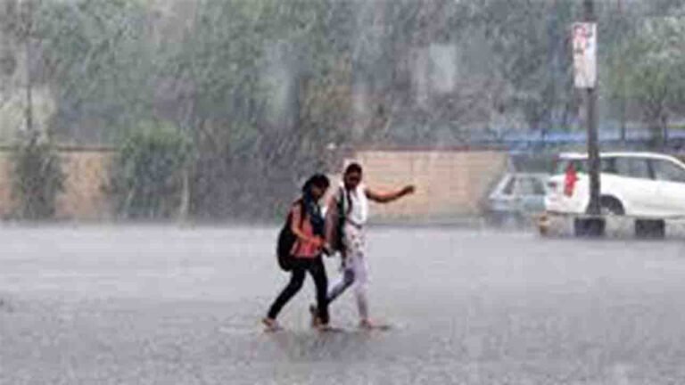 Heavy Rains In Telangana: Orange Alert In These Districts