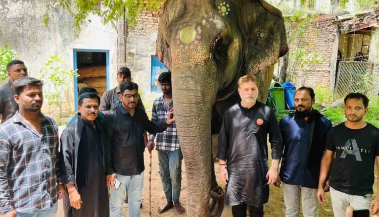 Bibi ka Alam Elephant Arrives In Hyderabad A Day Before Ashura
