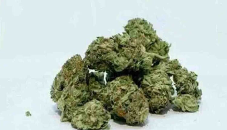 Two Held For Selling Ganja In Uppuguda, 2.1 Kg Seized