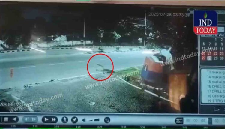 Leopard Sightings Spark Panic In Golconda; Forest Officials On High Alert