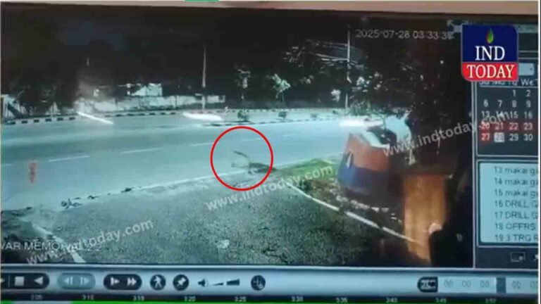 Leopard Sightings Spark Panic In Golconda; Forest Officials On High Alert