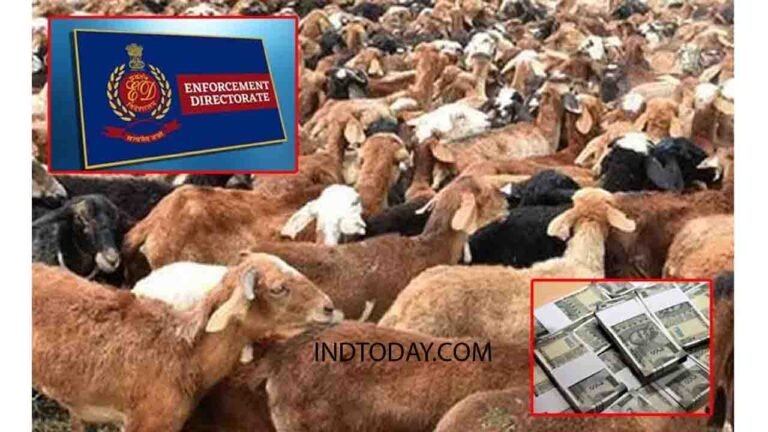 Telangana Sheep Distribution Scam: ED Raids Six Locations in Hyderabad