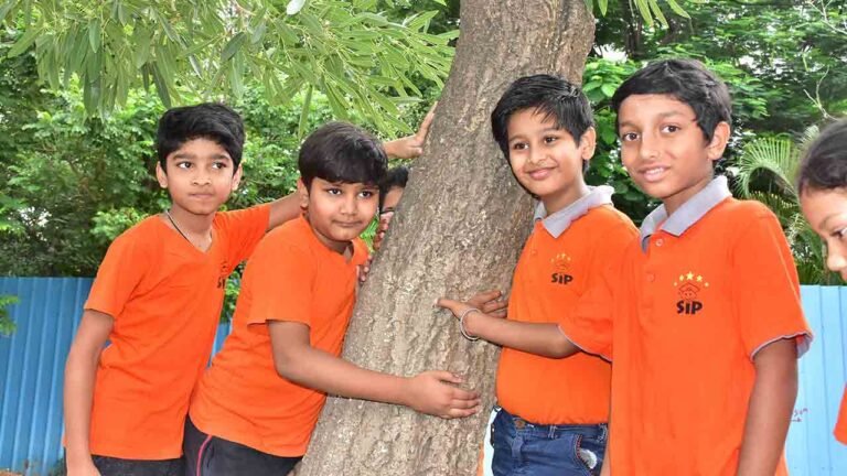 SIP Academy To "Create a Forest" In Hyderabad Using Miyawaki Method