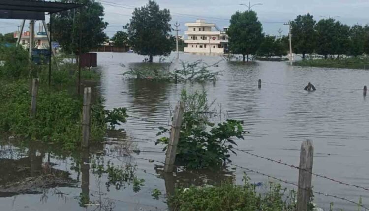 Godavari River In Its Fury: Floods Up To Basara Saraswati Temple