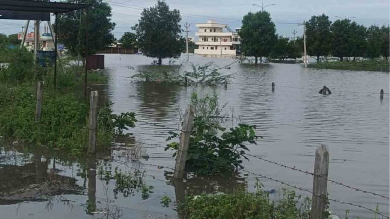 Godavari River In Its Fury: Floods Up To Basara Saraswati Temple