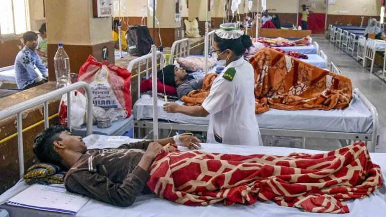 Hyderabad Hospitals See Spike In Dengue, Chikungunya, Influenza Cases